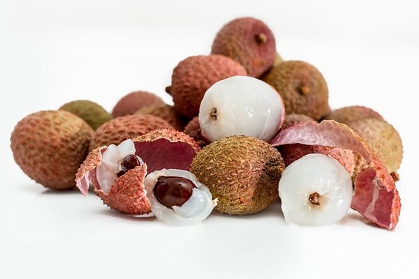 Faire pousser l'arbre de litchi à partir d'une graine