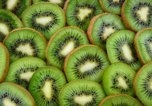 Comment faire pousser un Actinidier à partir de la graine de Kiwi ?