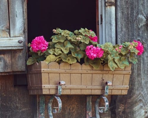 Utilisation des balconnières pour le jardinage : Le Guide Pratique