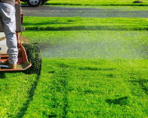 Les avantages des lames mulching pour votre tondeuse à gazon