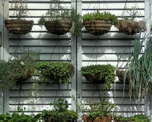 Comment créer un espace de bien-être avec un mur végétal intérieur ?
