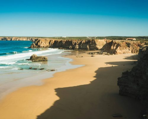 Une pergola pour créer une ambiance conviviale et mettre en valeur votre aménagement extérieur